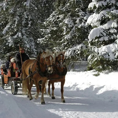 Apartment In Seefeld Near Rosshuette Ski Resort Apartment Seefeld in Tirol