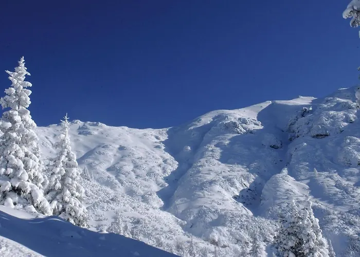 Apartment In Seefeld Near Rosshuette Ski Resort