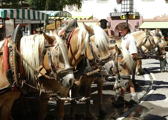 Apartment In Seefeld Near Rosshuette Ski Resort * Seefeld in Tirol